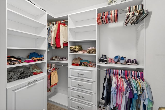 7570 Sweeter Tide Trl, Wesley Chapel, FL 33545 - view of spacious closet