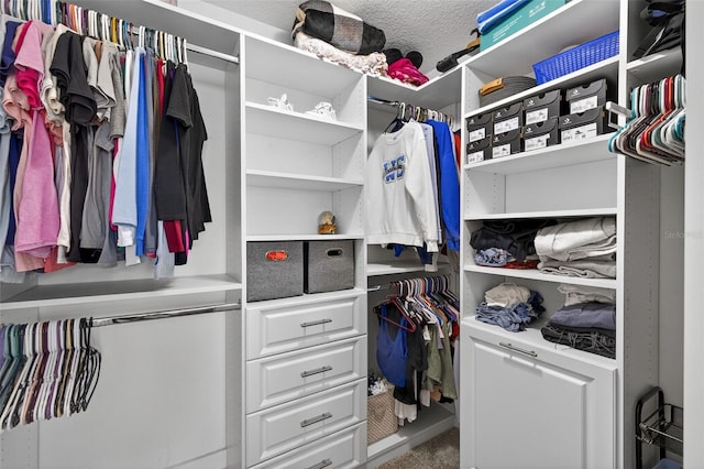 7570 Sweeter Tide Trl, Wesley Chapel, FL 33545 - spacious closet featuring carpet floors