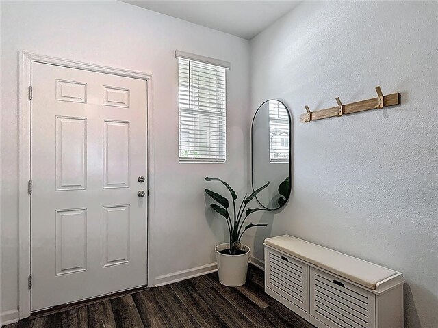 4338 Banjo Lake Rd, Land O Lakes, FL 34639 - photo 6