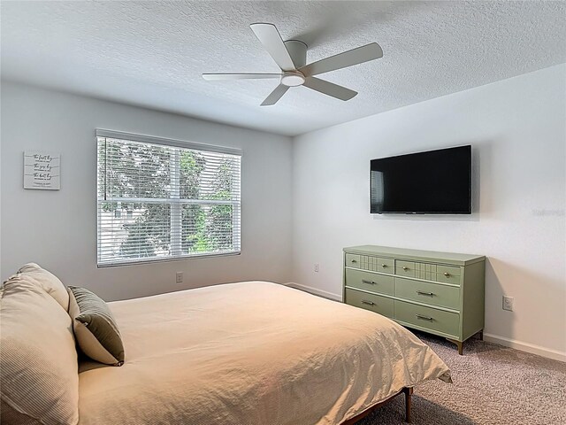 4338 Banjo Lake Rd, Land O Lakes, FL 34639 - photo 27