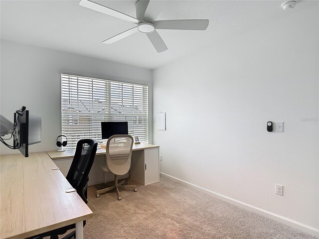 4338 Banjo Lake Rd, Land O Lakes, FL 34639 - photo 34