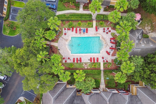 2171 Portofino Pl Unit 27-2725, Palm Harbor, FL 34683 - aerial view of a pool