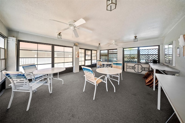 2460 Northside Dr Unit 802, Clearwater, FL 33761 - sunroom with a textured ceiling, plenty of natural light, and carpet floors