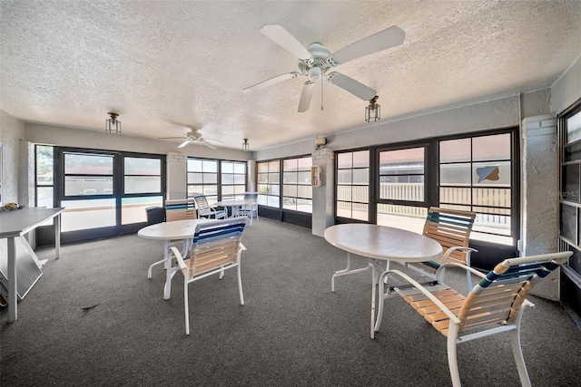 2460 Northside Dr Unit 802, Clearwater, FL 33761 - sunroom / solarium featuring a textured ceiling, plenty of natural light, and carpet flooring