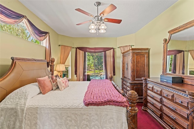 4959 Felecity Way, Palm Harbor, FL 34685 - photo 13