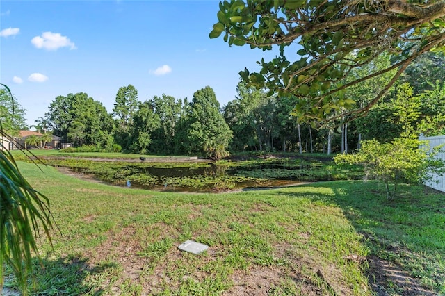 4959 Felecity Way, Palm Harbor, FL 34685 - photo 40