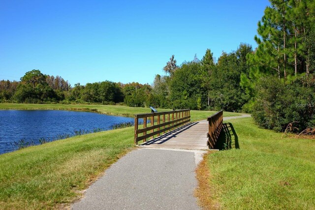 8747 Flourish Dr, Land O Lakes, FL 34637 - photo 47