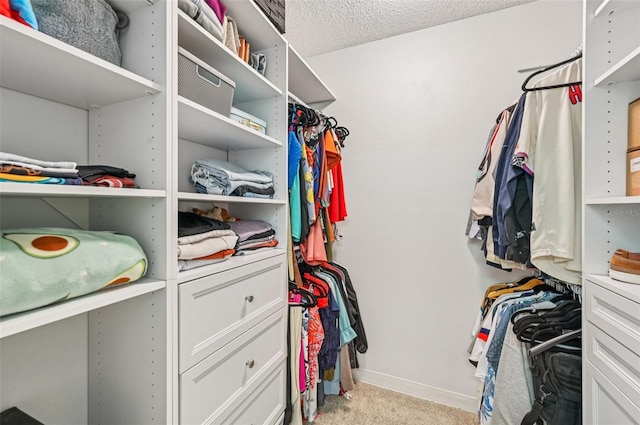 4735 Winslow Beacon Unit 14, Sarasota, FL 34235 - walk in closet with carpet
