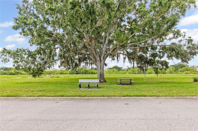 12004 Legacy Bright St, Riverview, FL 33578 - view of property's community featuring a lawn