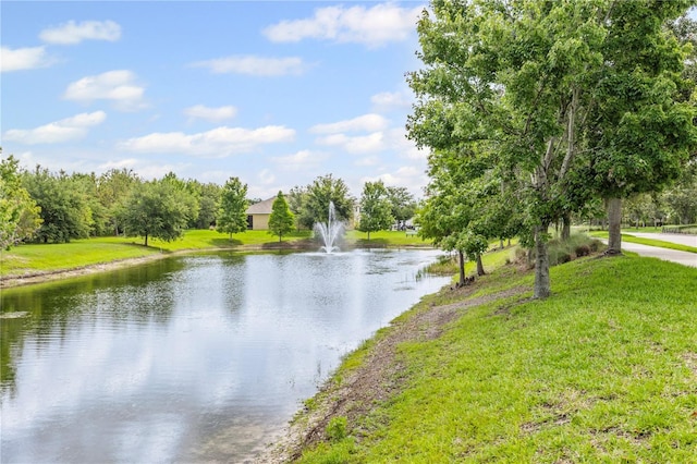 12004 Legacy Bright St, Riverview, FL 33578 - water view