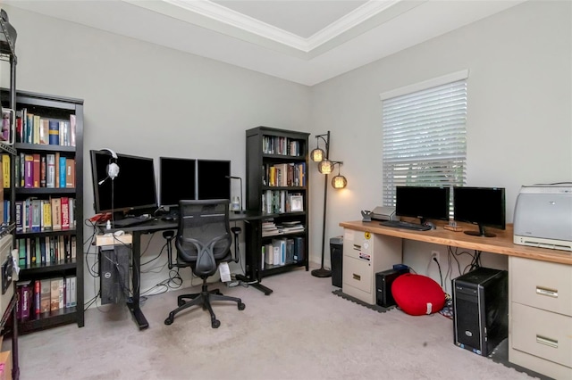 26972 Evergreen Chase Dr, Wesley Chapel, FL 33544 - office area with ornamental molding and carpet flooring