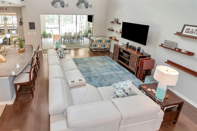 26972 Evergreen Chase Dr, Wesley Chapel, FL 33544 - living room featuring wood finished floors