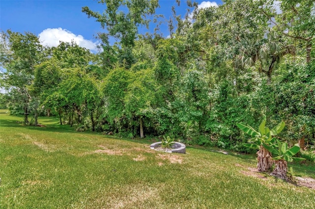26972 Evergreen Chase Dr, Wesley Chapel, FL 33544 - view of green lawn