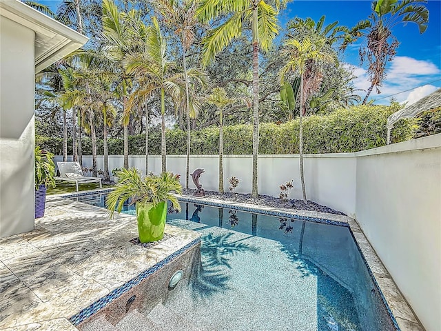 301 23rd Ave NE, Saint Petersburg, FL 33704 - view of pool