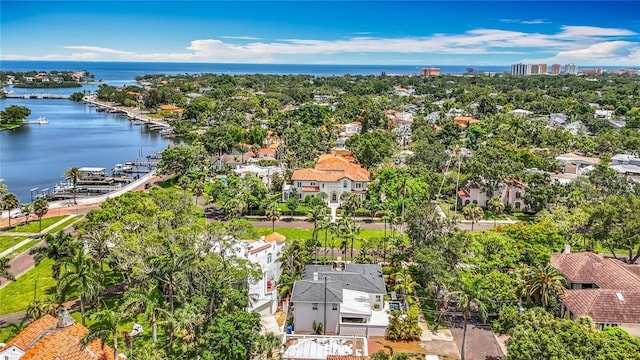 301 23rd Ave NE, Saint Petersburg, FL 33704 - aerial view of residential area with a large body of water