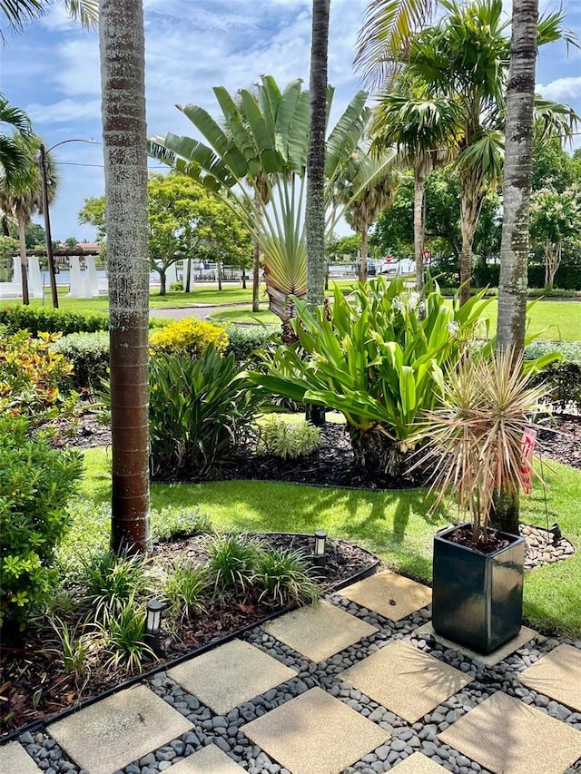 301 23rd Ave NE, Saint Petersburg, FL 33704 - photo 3