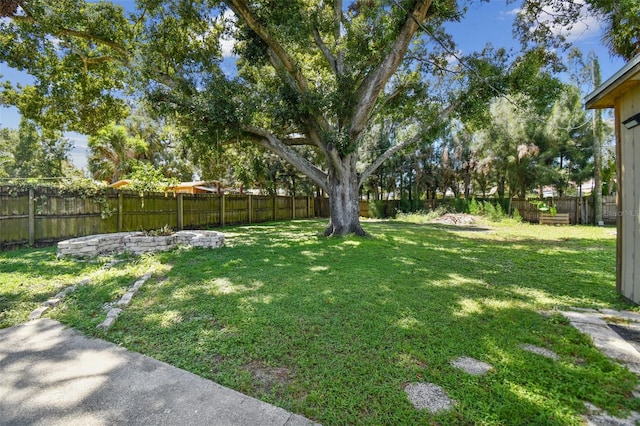 4009 S Renellie Dr, Tampa, FL 33611 - photo 39