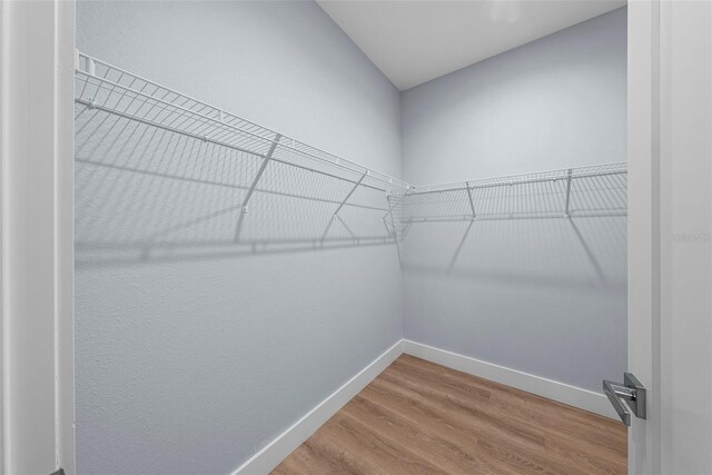5703 N 20th St, Tampa, FL 33610 - photo 22