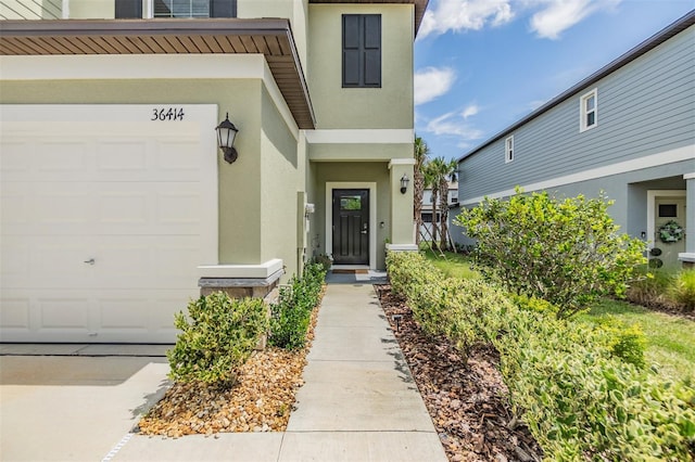 36414 Well Hill Way, Zephyrhills, FL 33541 - entrance to property featuring stucco siding and a garage