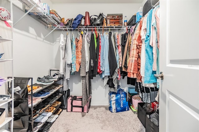 36414 Well Hill Way, Zephyrhills, FL 33541 - walk in closet featuring carpet flooring
