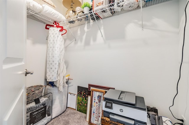 36414 Well Hill Way, Zephyrhills, FL 33541 - walk in closet with carpet floors