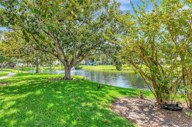 14130 Rosemary Ln Unit 3202, Largo, FL 33774 - water view