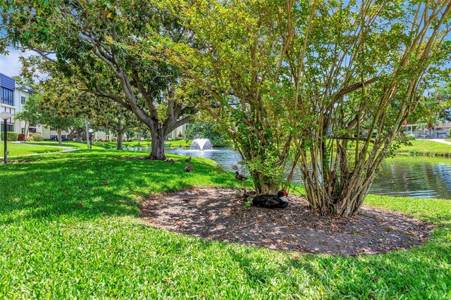 14130 Rosemary Ln Unit 3202, Largo, FL 33774 - view of green lawn with a water view