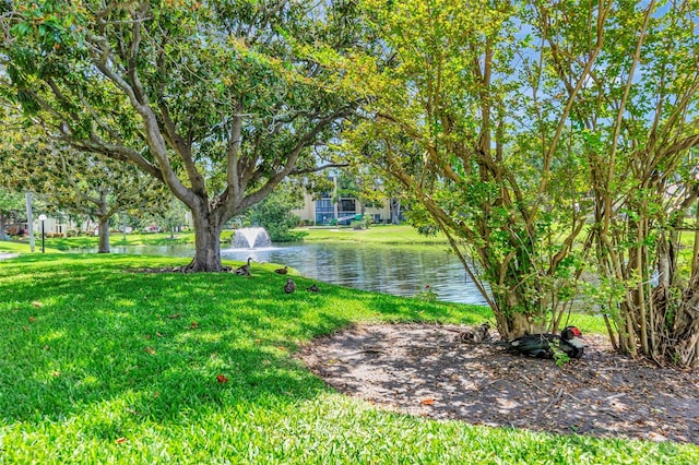 14130 Rosemary Ln Unit 3202, Largo, FL 33774 - view of green lawn with a water view