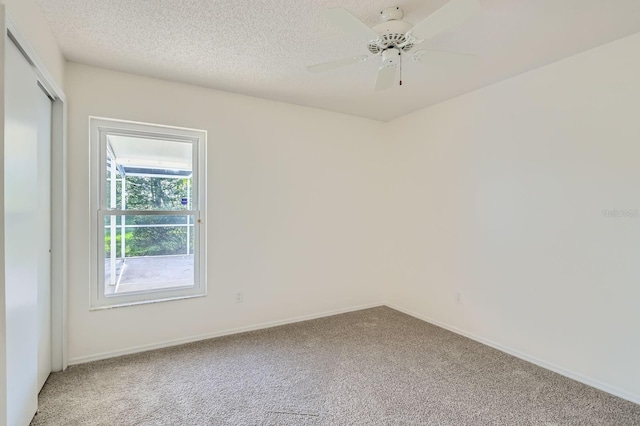 3124 Birds Rest Pl, Kissimmee, FL 34743 - photo 17