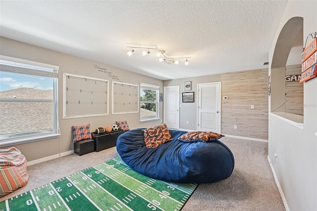 4151 Little Gap Loop, Ellenton, FL 34222 - living room with carpet floors, arched walkways, and a textured ceiling