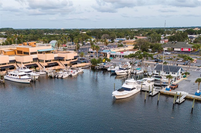 346 Gray Oak Dr, Tarpon Springs, FL 34689 - drone / aerial view of a large body of water