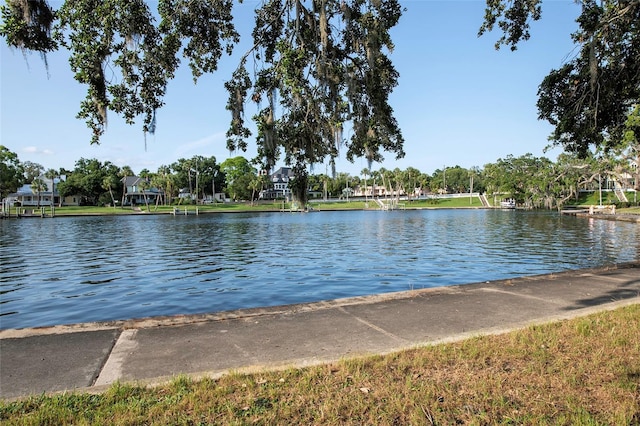 346 Gray Oak Dr, Tarpon Springs, FL 34689 - water view