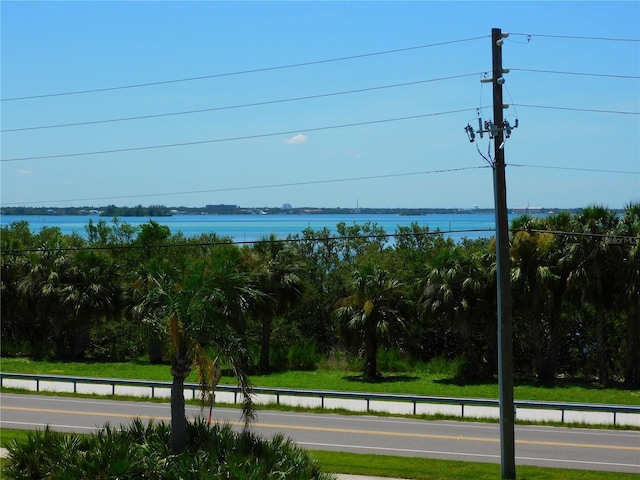 9 Forbes Pl Unit 310, Dunedin, FL 34698 - water view