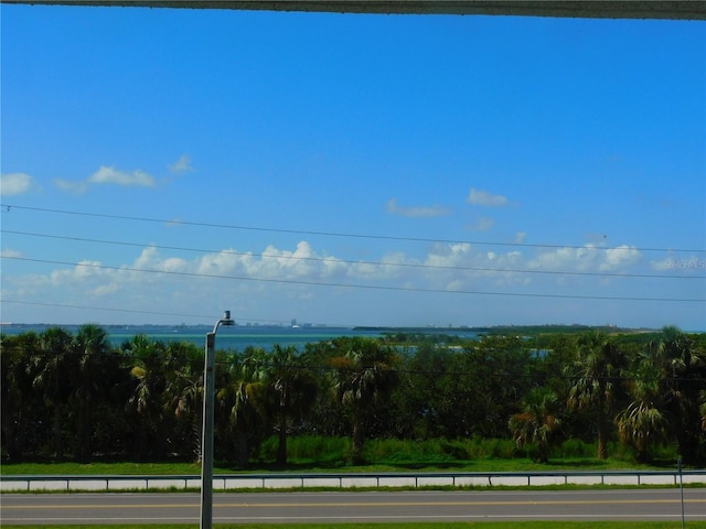 9 Forbes Pl Unit 310, Dunedin, FL 34698 - water view