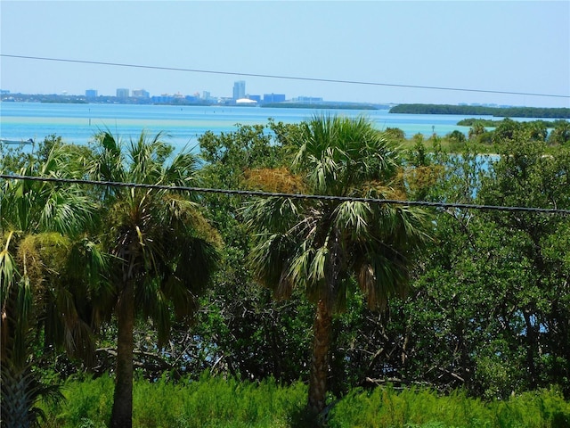 9 Forbes Pl Unit 310, Dunedin, FL 34698 - balcony featuring a water view