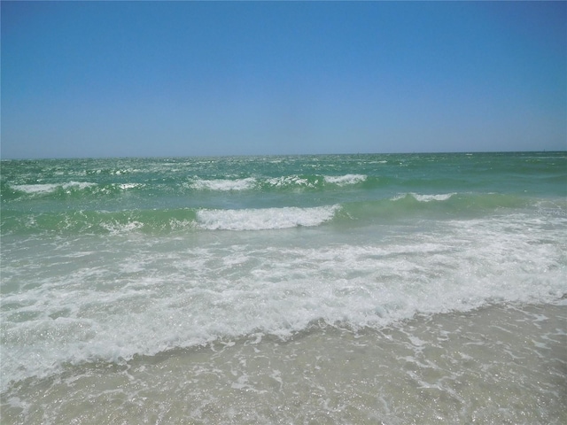 9 Forbes Pl Unit 310, Dunedin, FL 34698 - water view