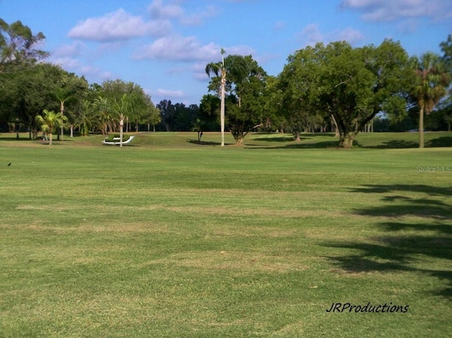 9 Forbes Pl Unit 310, Dunedin, FL 34698 - view of community with view of scattered trees and a yard