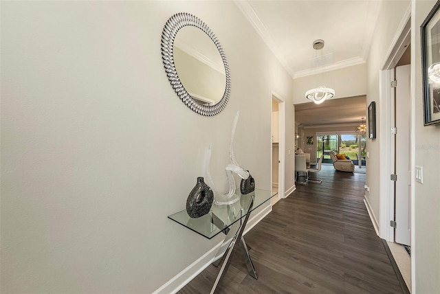 3318 Woodland Brook Way, Wesley Chapel, FL 33543 - corridor with ornamental molding and dark wood finished floors