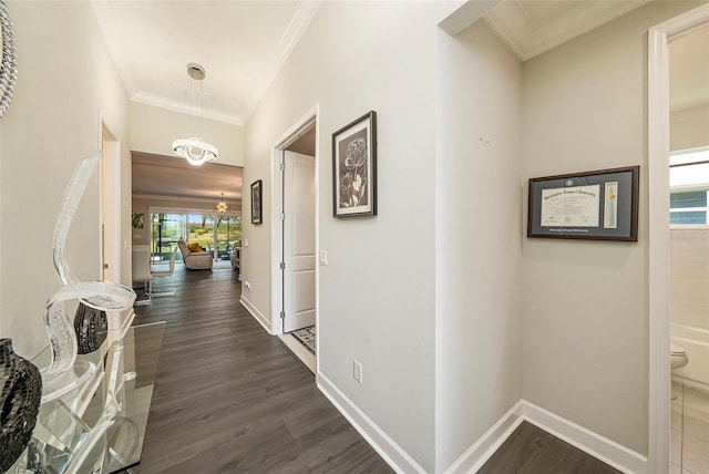 3318 Woodland Brook Way, Wesley Chapel, FL 33543 - corridor featuring ornamental molding and dark wood-type flooring