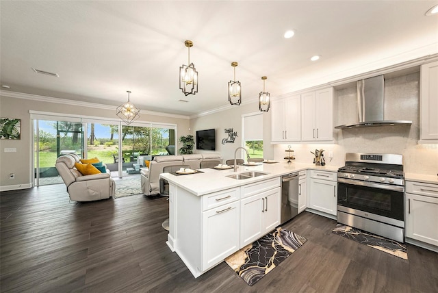 3318 Woodland Brook Way, Wesley Chapel, FL 33543 - kitchen with appliances with stainless steel finishes, wall chimney range hood, open floor plan, a peninsula, and light countertops