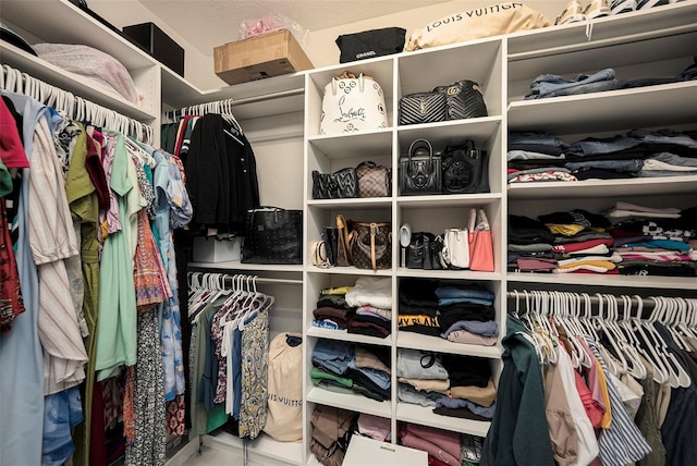 3318 Woodland Brook Way, Wesley Chapel, FL 33543 - view of spacious closet