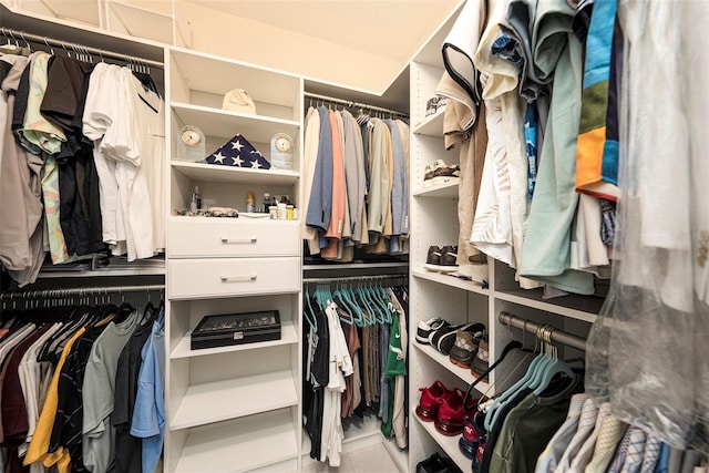 3318 Woodland Brook Way, Wesley Chapel, FL 33543 - view of walk in closet