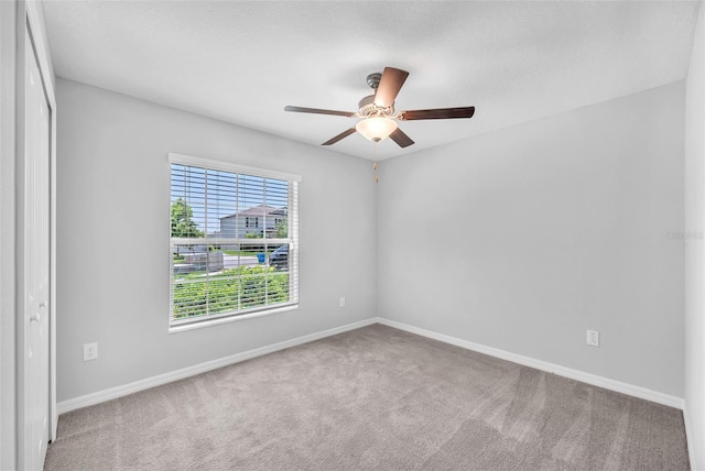 12907 Wildflower Meadow Dr, Riverview, FL 33579 - spare room with carpet floors, ceiling fan, and baseboards
