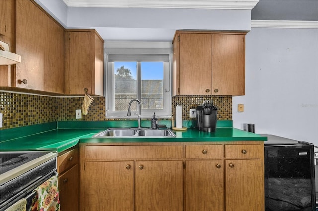 2501 18th Ave S, Saint Petersburg, FL 33712 - kitchen with beverage cooler, a sink, crown molding, decorative backsplash, and brown cabinets