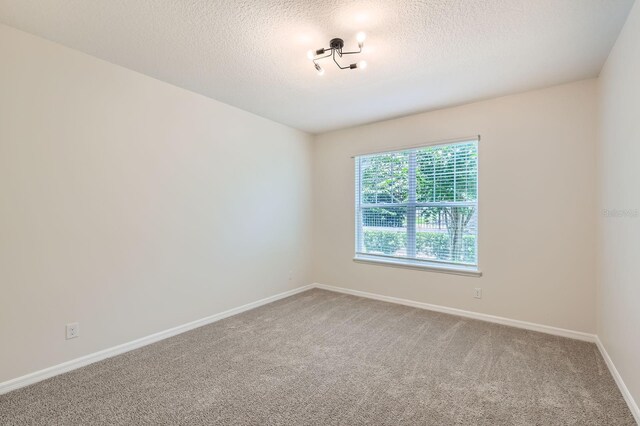 11018 Hanlon Terrace Aly, Winter Garden, FL 34787 - photo 11