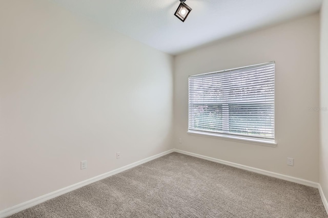 11018 Hanlon Terrace Aly, Winter Garden, FL 34787 - photo 19