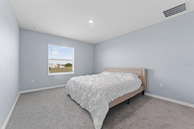308 Mangrove Shade Cir, Apollo Beach, FL 33572 - bedroom with carpet and baseboards