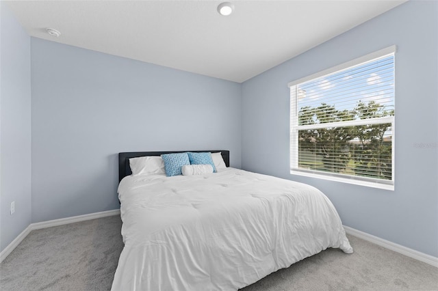 308 Mangrove Shade Cir, Apollo Beach, FL 33572 - carpeted bedroom with baseboards