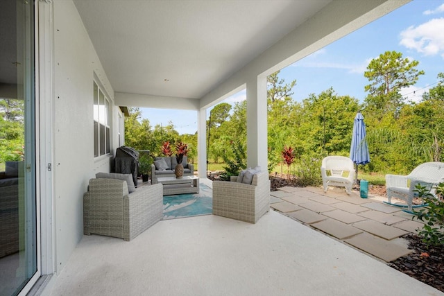 13157 Peachleaf Ave, Riverview, FL 33579 - view of patio with outdoor lounge area and area for grilling