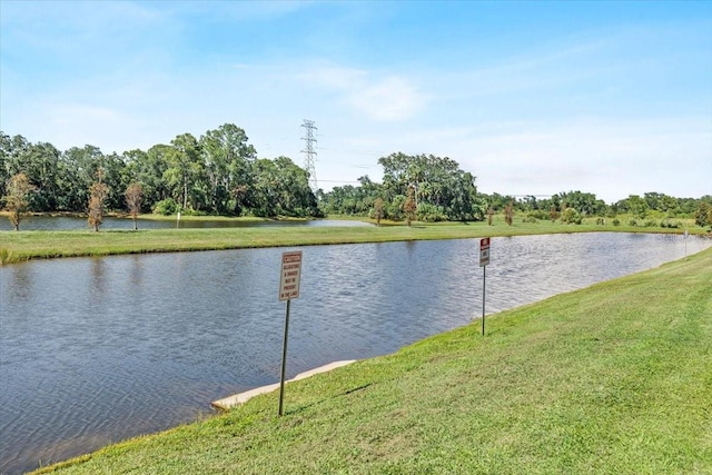 7916 Evergreen Creek Ct, Riverview, FL 33578 - water view